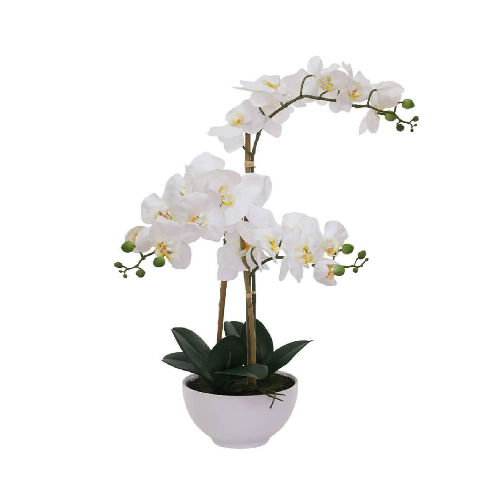 Artificial white multi-stemmed orchid in a round ceramic pot