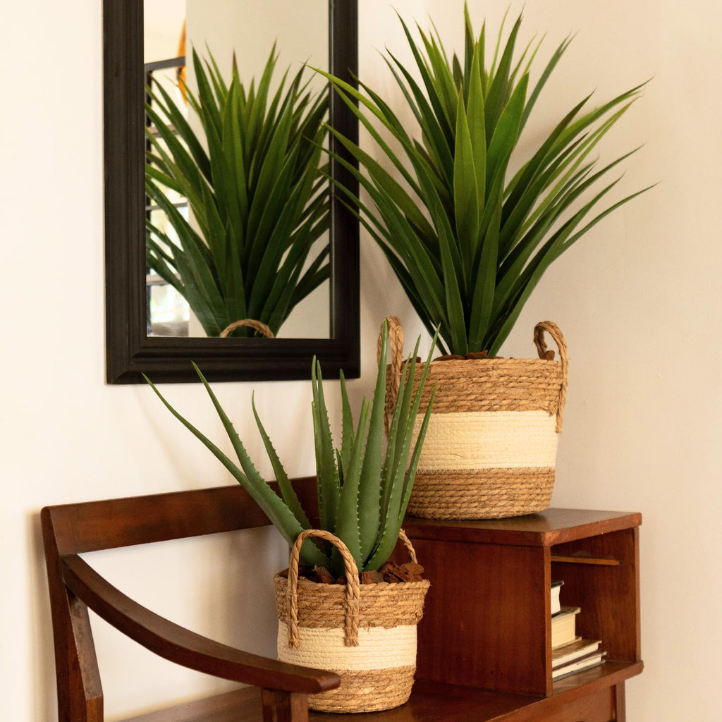 Styled artificial yucca plant