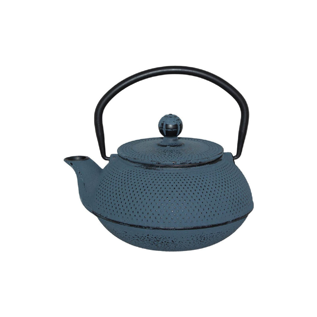 Blue cast iron teapot with infuser