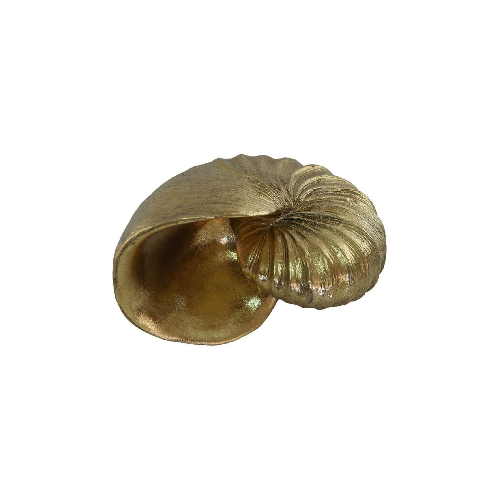 Gold poly stone nautilus shell