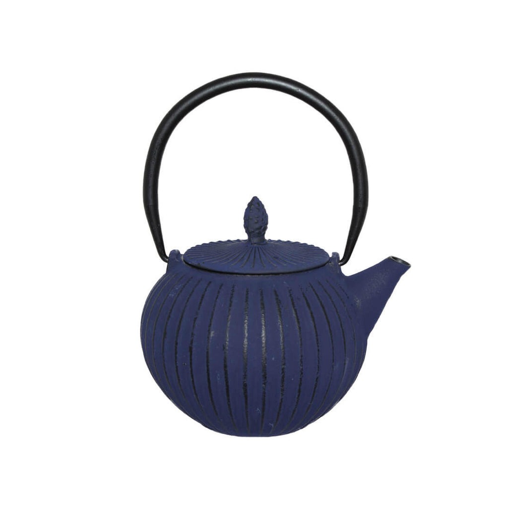 Navy cast iron teapot