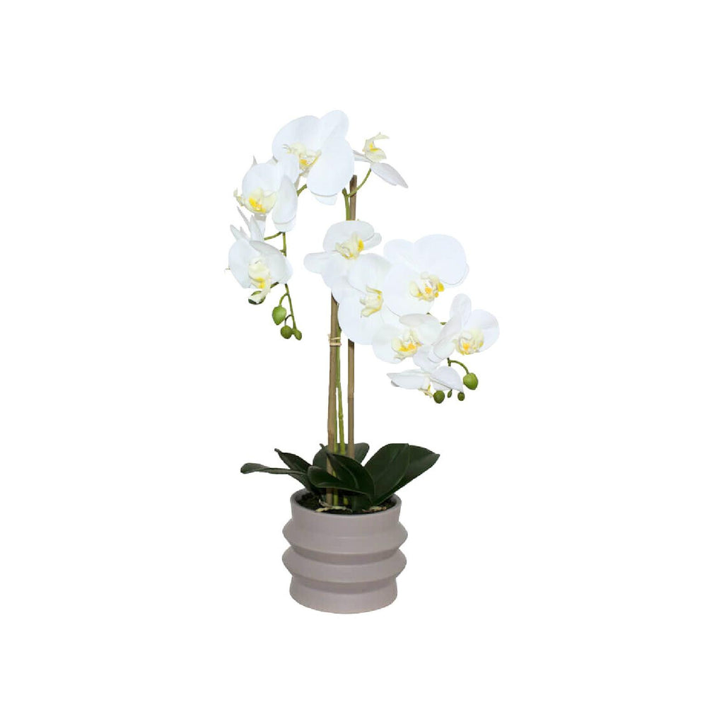 Real touch orchid in ripple ceramic pot