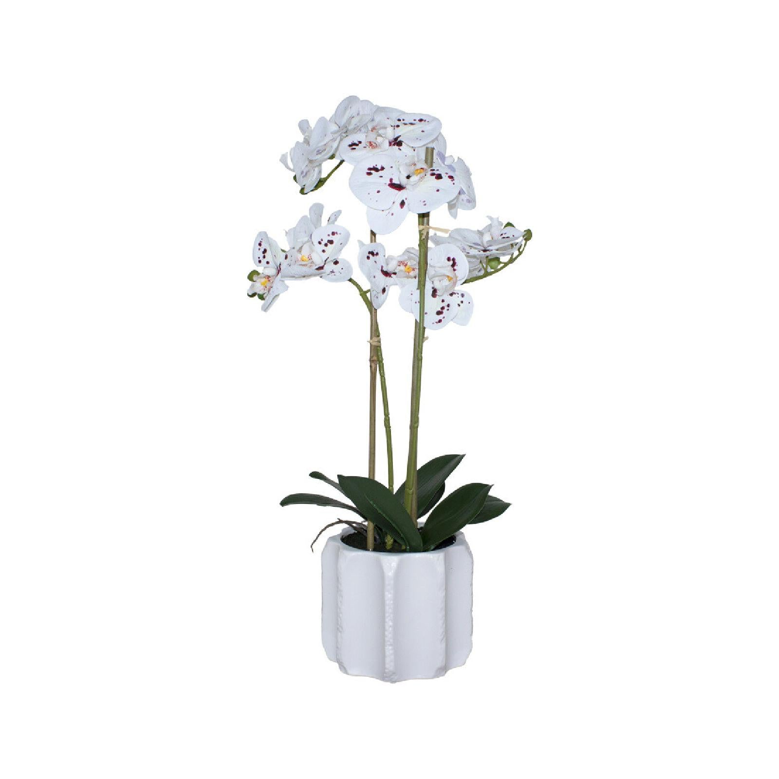 Real touch speckled orchid