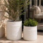 Two white textured cylindrical planters with plants on a patio
