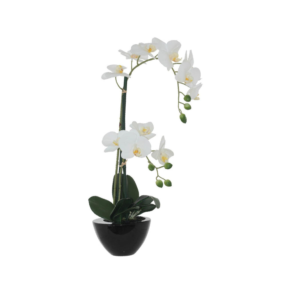 Artificial white orchid in a black ceramic pot