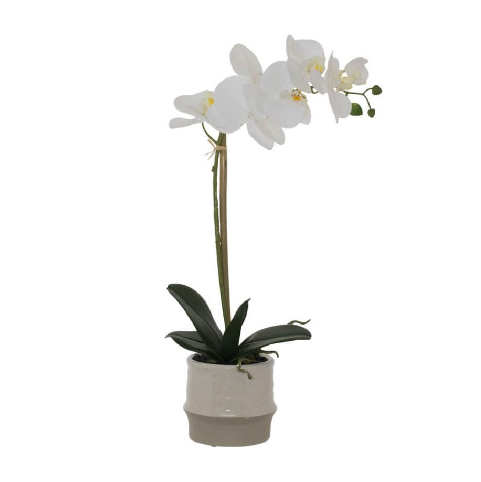 Artificial white real touch orchid in a cream ceramic pot