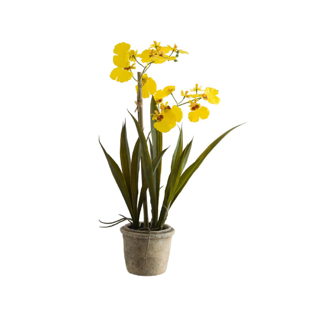 Artificial yellow potted oncidium plant