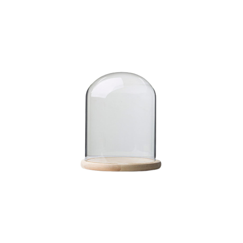 Round glass display dome with natural pine wood base