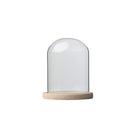 Round glass display dome with natural pine wood base