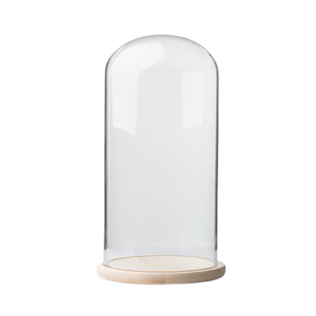 Round glass display dome with natural pine wood base