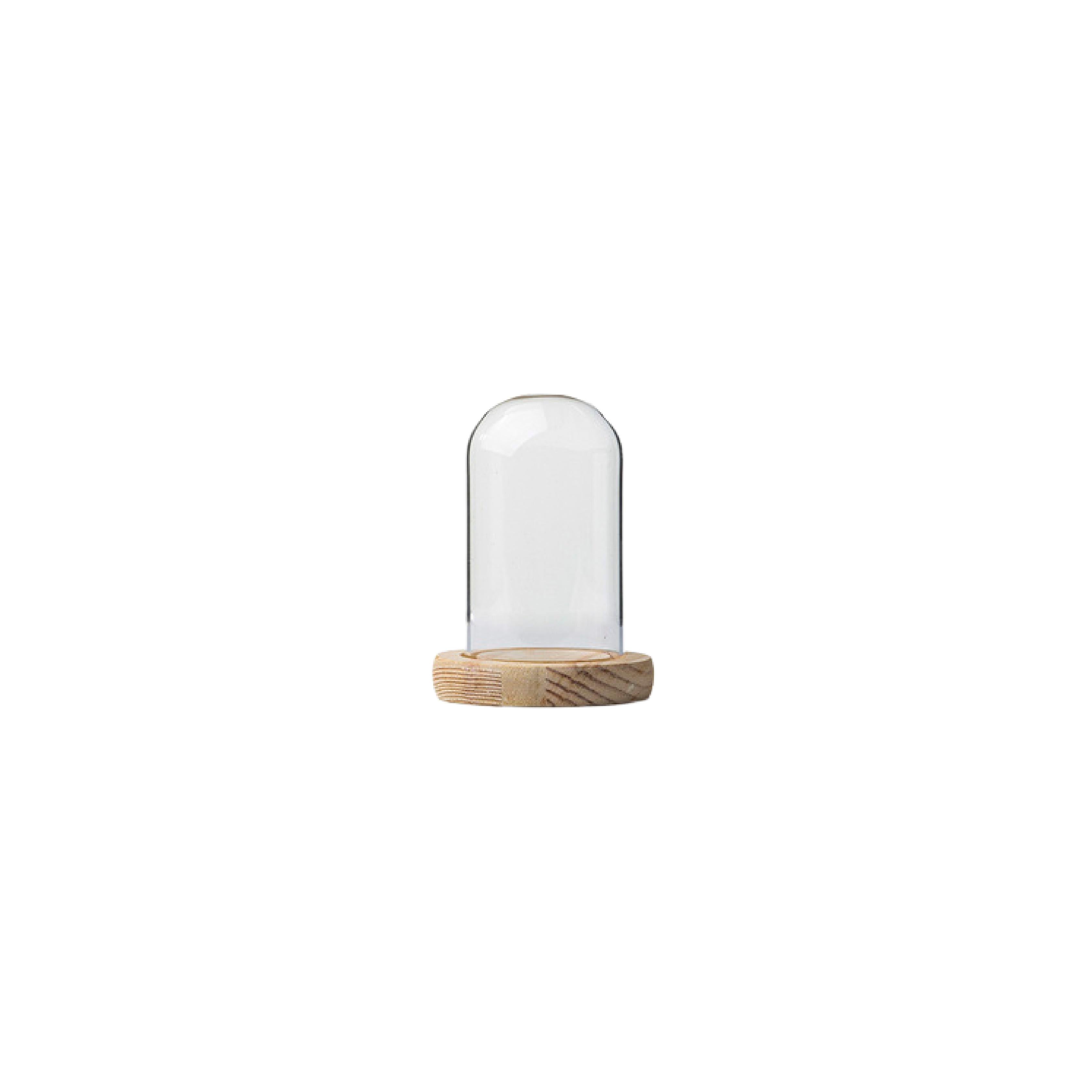 Round glass display dome with natural pine wood base