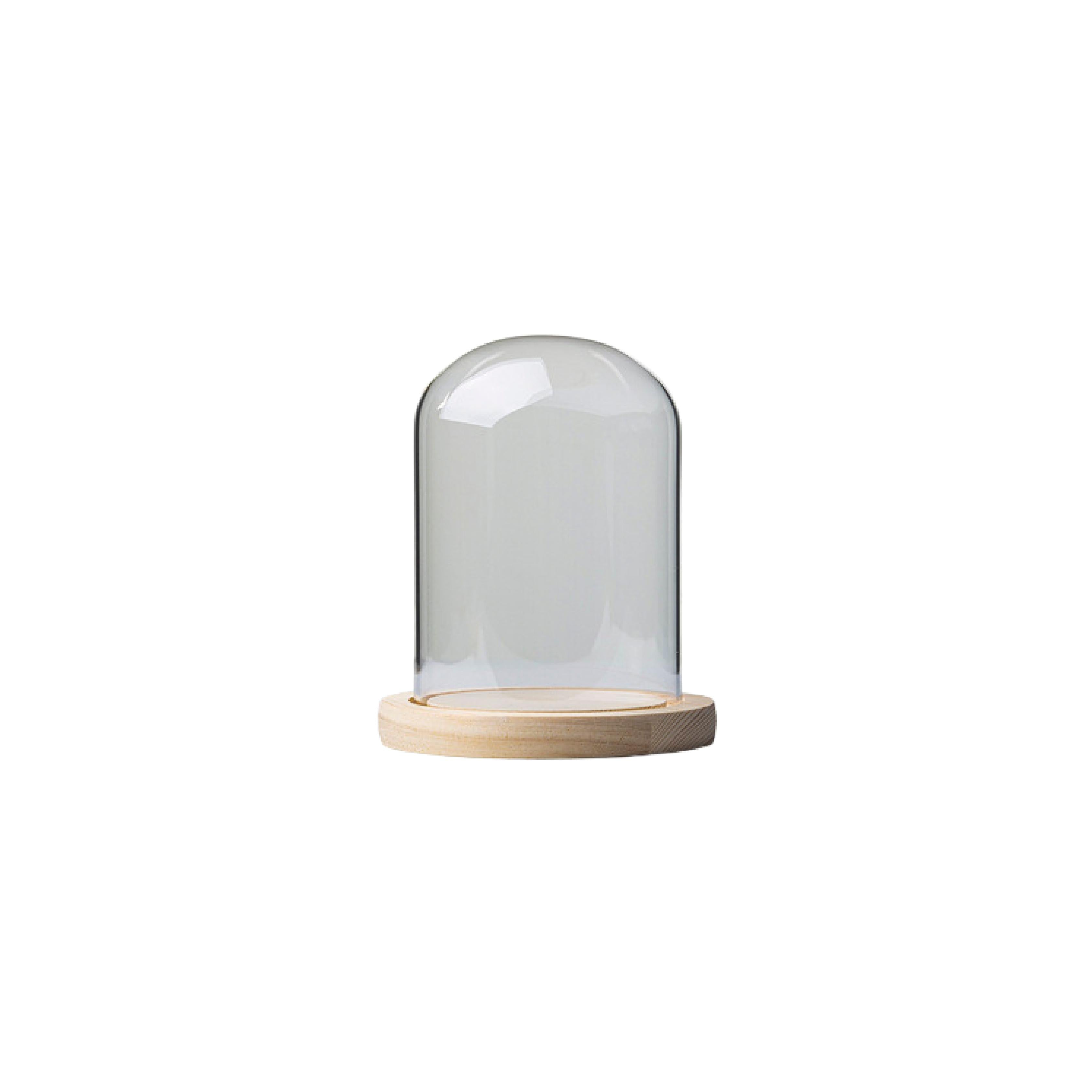 Round glass display dome with natural pine wood base
