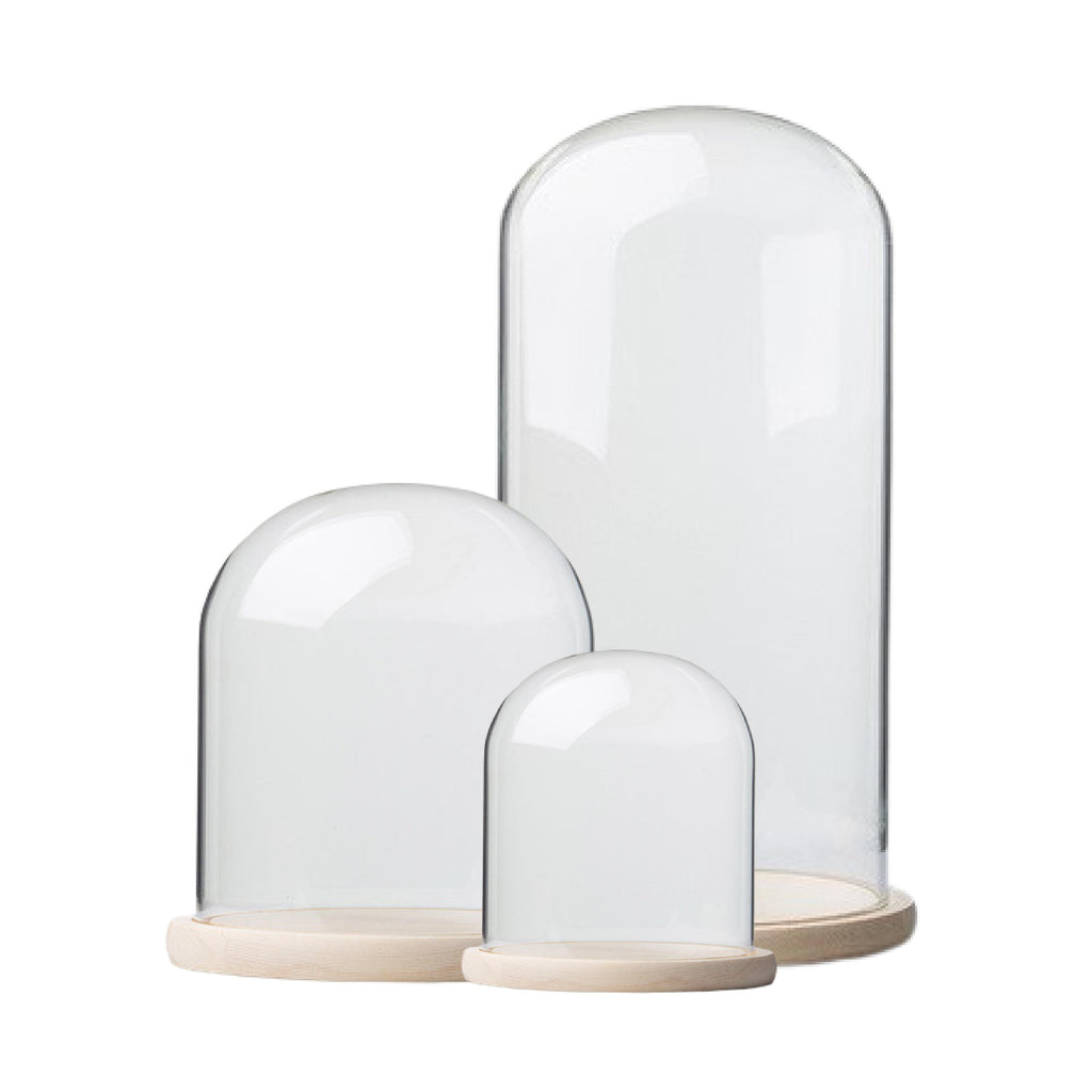 Range of glass display domes with pinewood bases