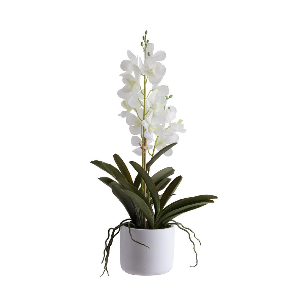 Artificial white ascocenda plant in pot